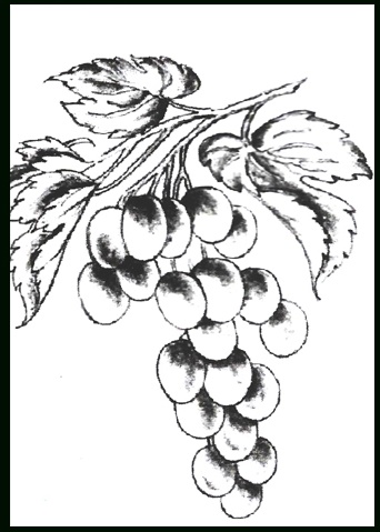 MEMORY DRAWING GRAPES EKNAZAR INSTITUTE
